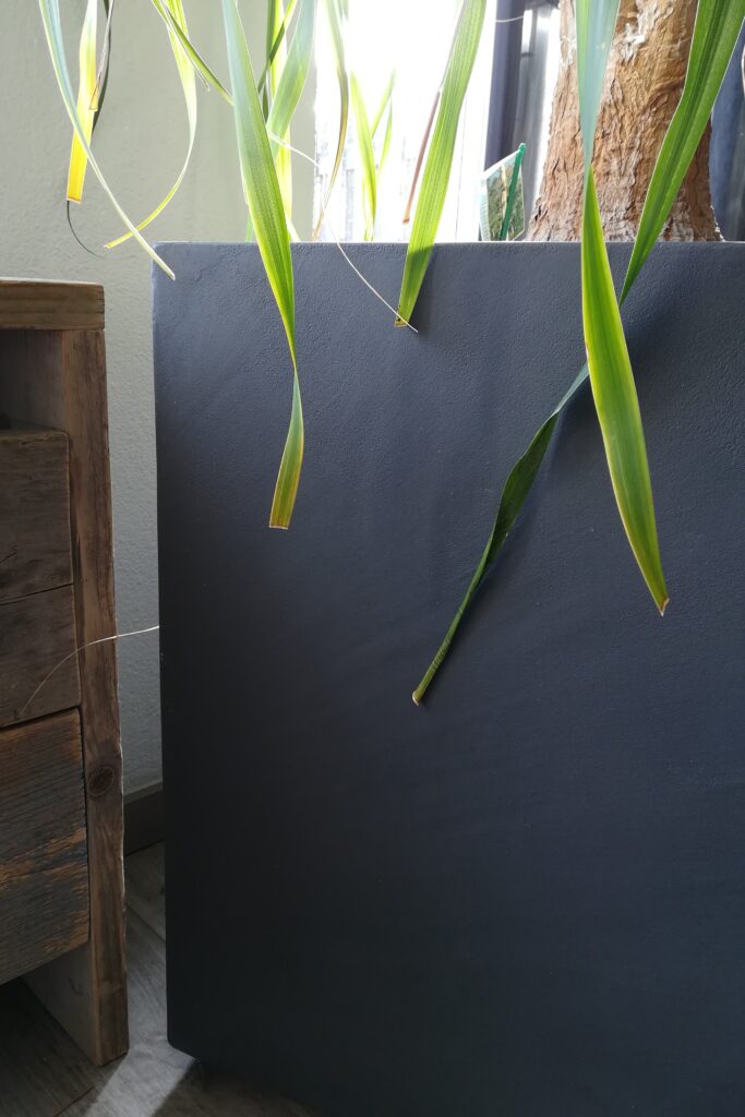 betonlook interieur plantenbak