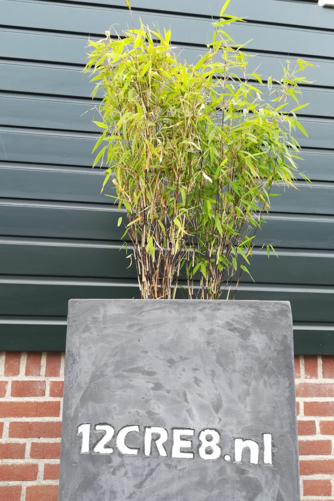 betonlook exterieur plantenbak zakelijk
