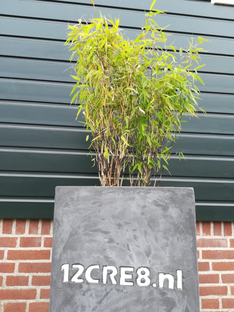 en meer... betonlook plantenbakken zakelijk